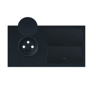 Simon 100 10020192-238 Panel 2-krotny IP44: 1 gnia