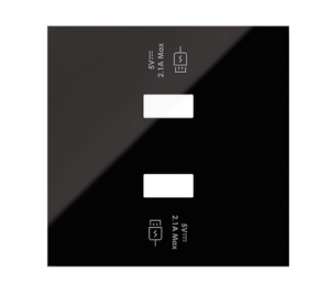 Simon 100 10001196-138 Pokrywa 2x1 ładowarki USB d